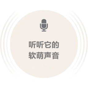 听听放松中的Moflin的声音
