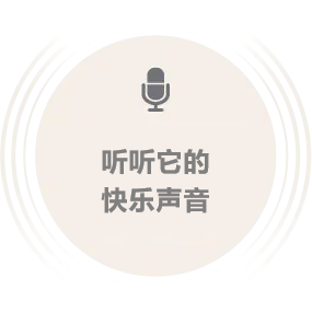 听听开心的Moflin的声音