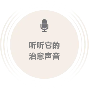 听听被鼓励的Moflin的声音