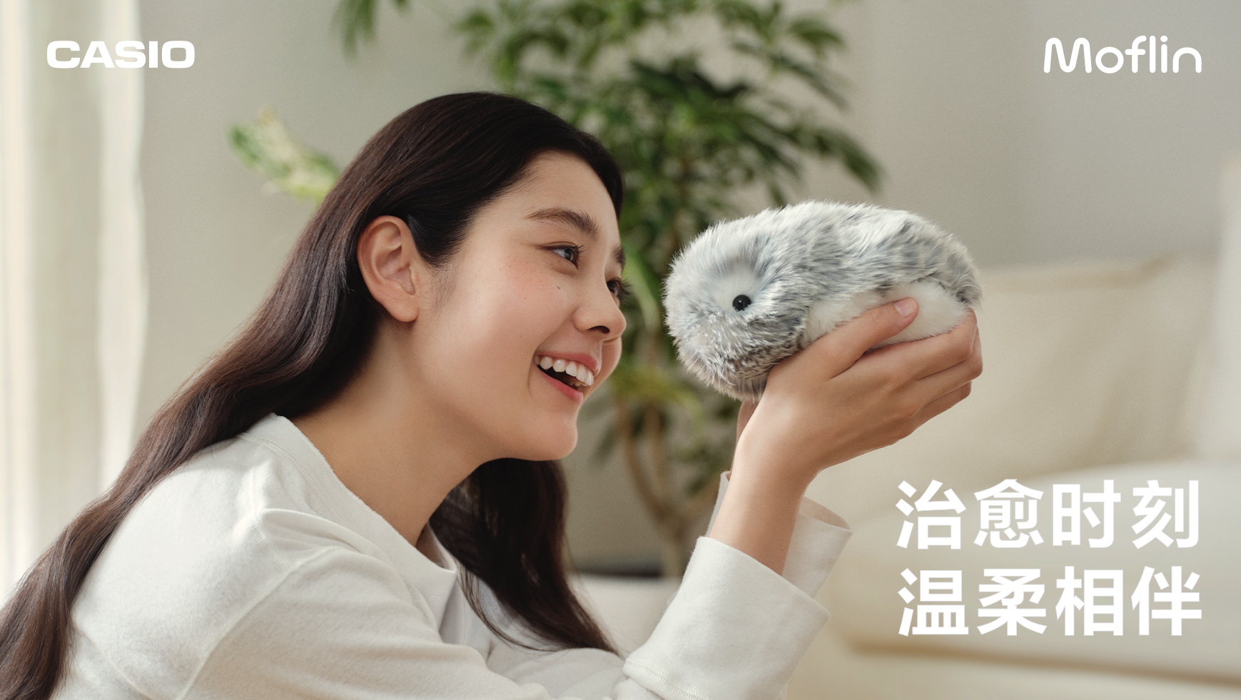 主视觉