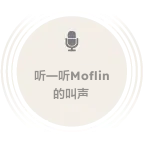 聆听Moflin的声音