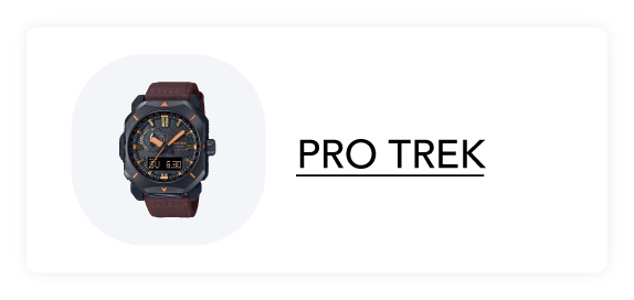 PRO TREK