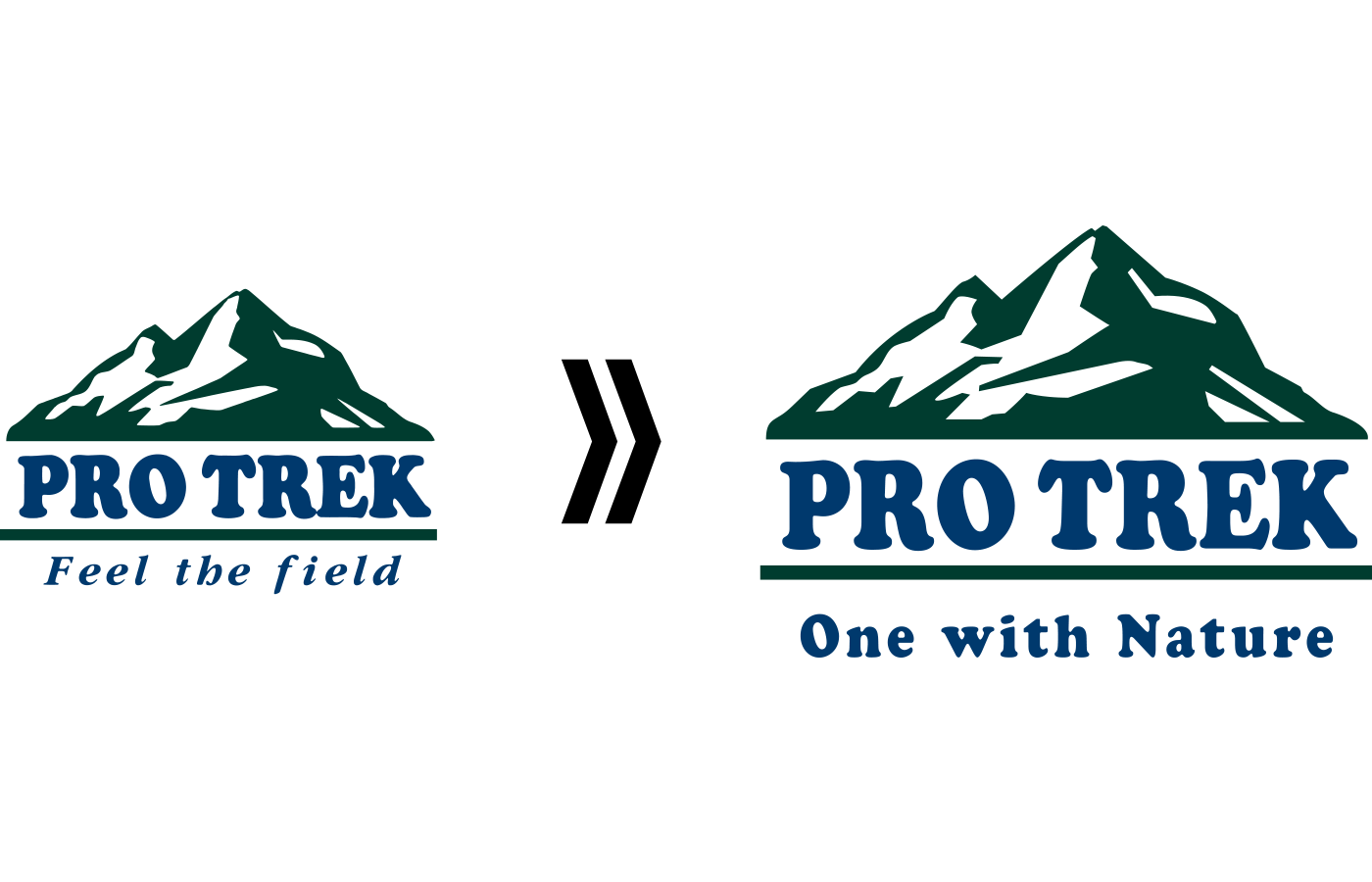 PRO TREK logo