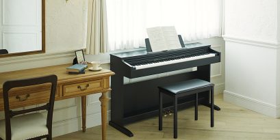 AP-270BK