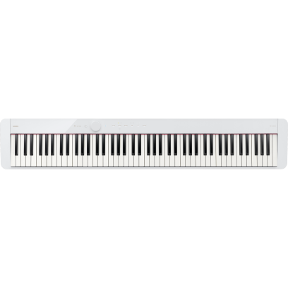 PX-S1100WE #1