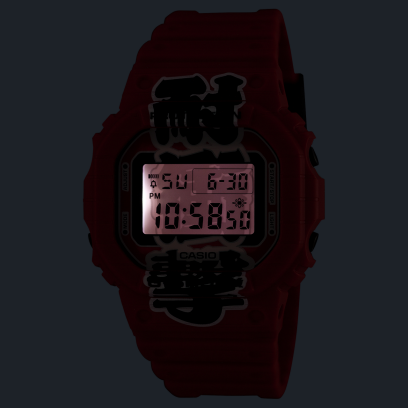 DW-5600AKA-4 高亮度 LED 照明 #3