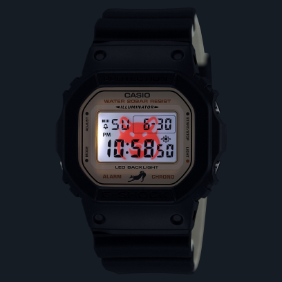 DW-5600SHB-1 LED 照明 #5