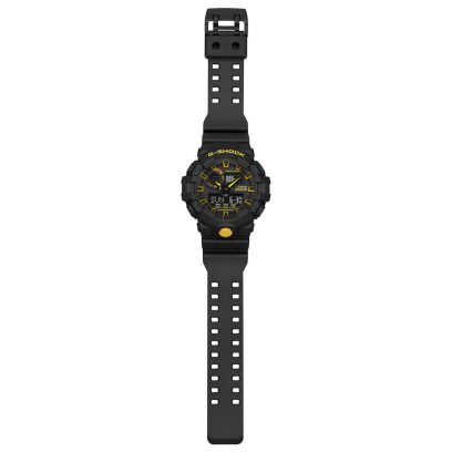 GA-700CY-1A #3