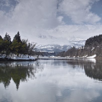 NISHIKIGOI MADE IN JAPAN #8