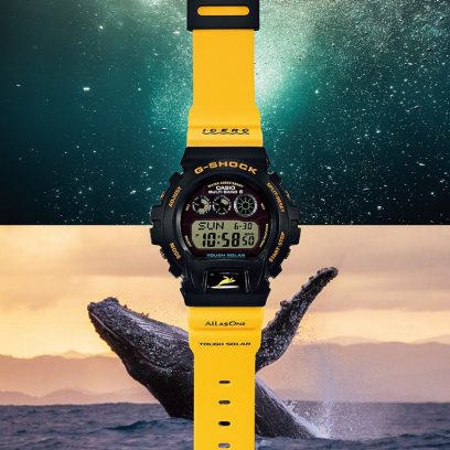 GW-6902K-9
