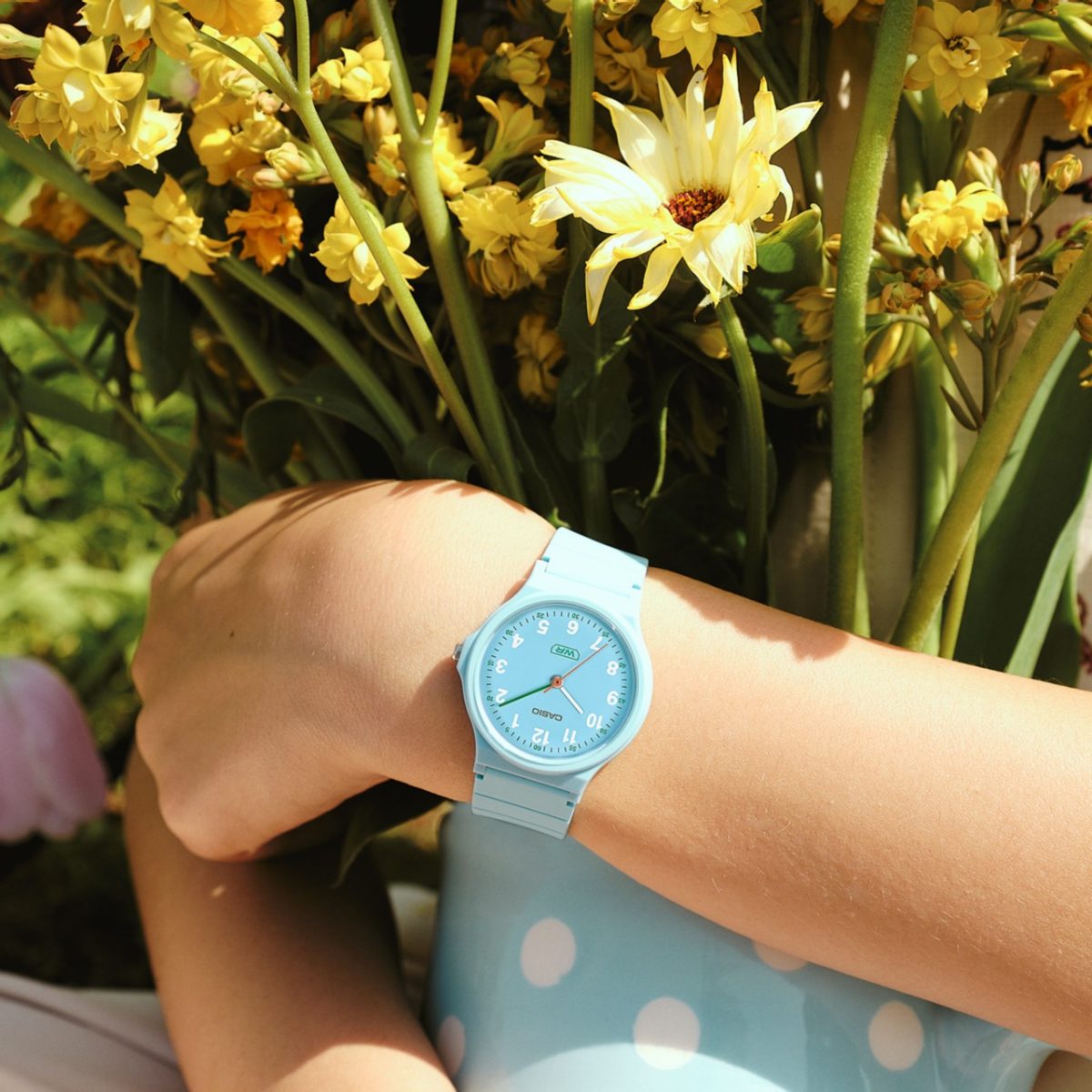CASIO LQ-24B-2B 手表 蓝色、浅蓝色 #2